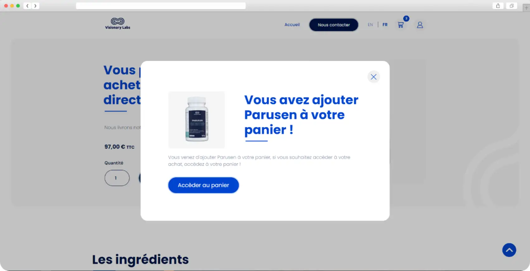 Web design Visionary labs