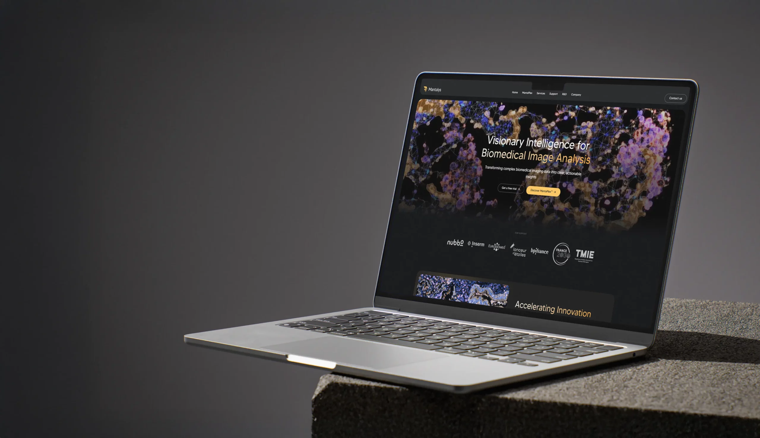 Développeur WordPress