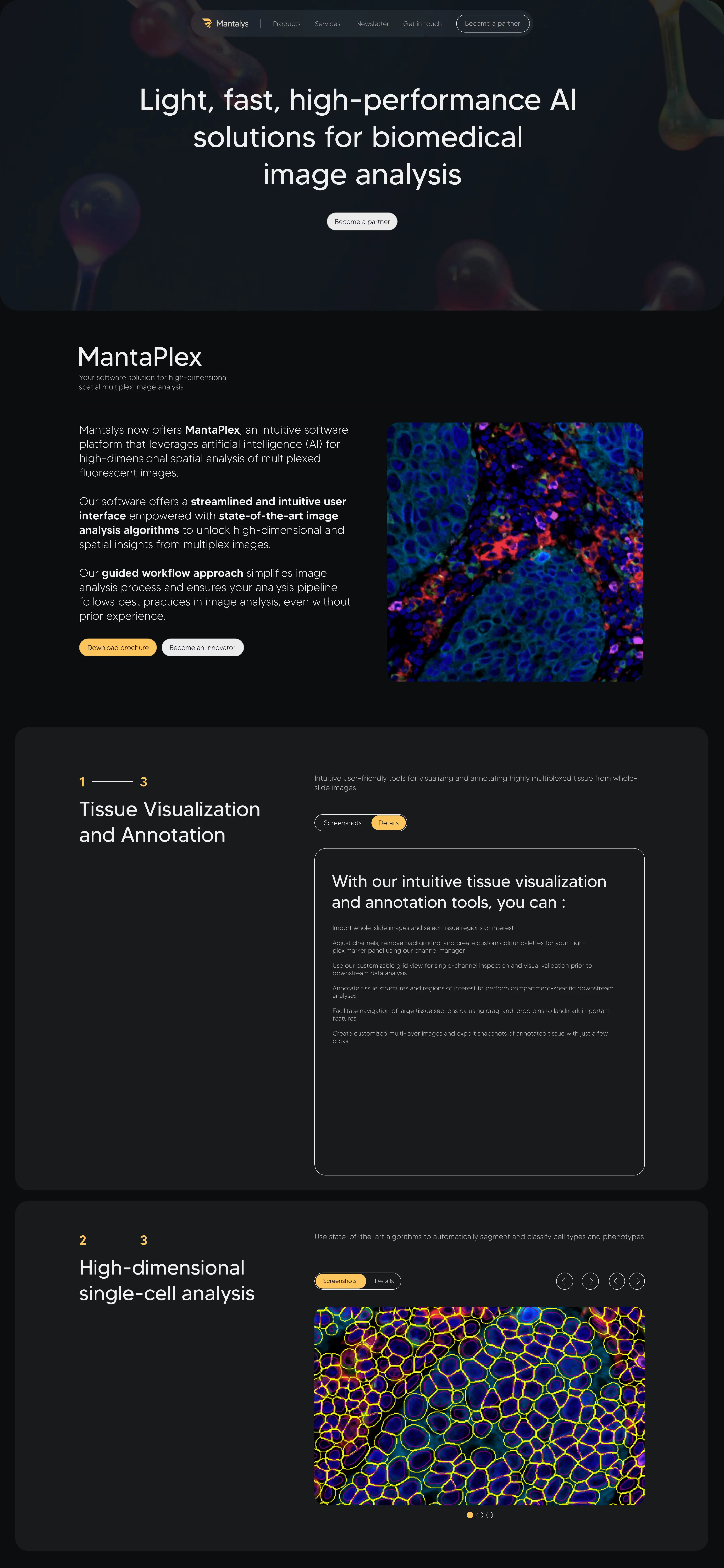 Web design Mantalys