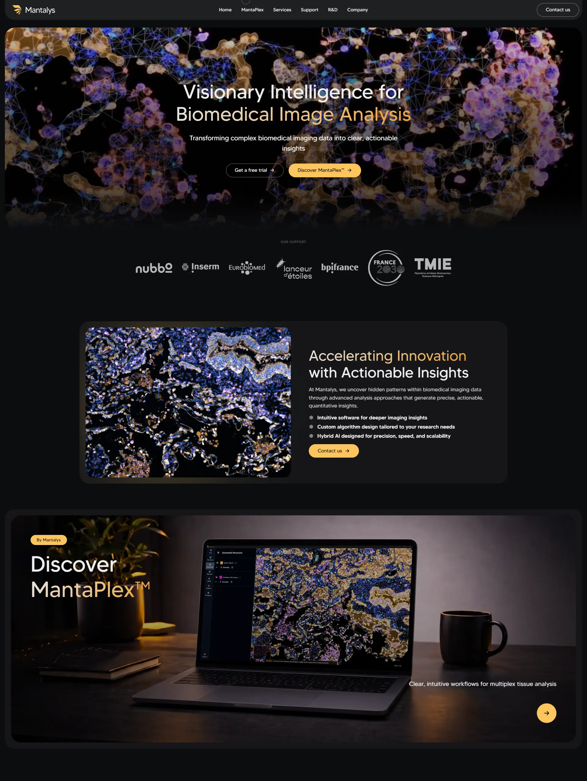 Web design Mantalys