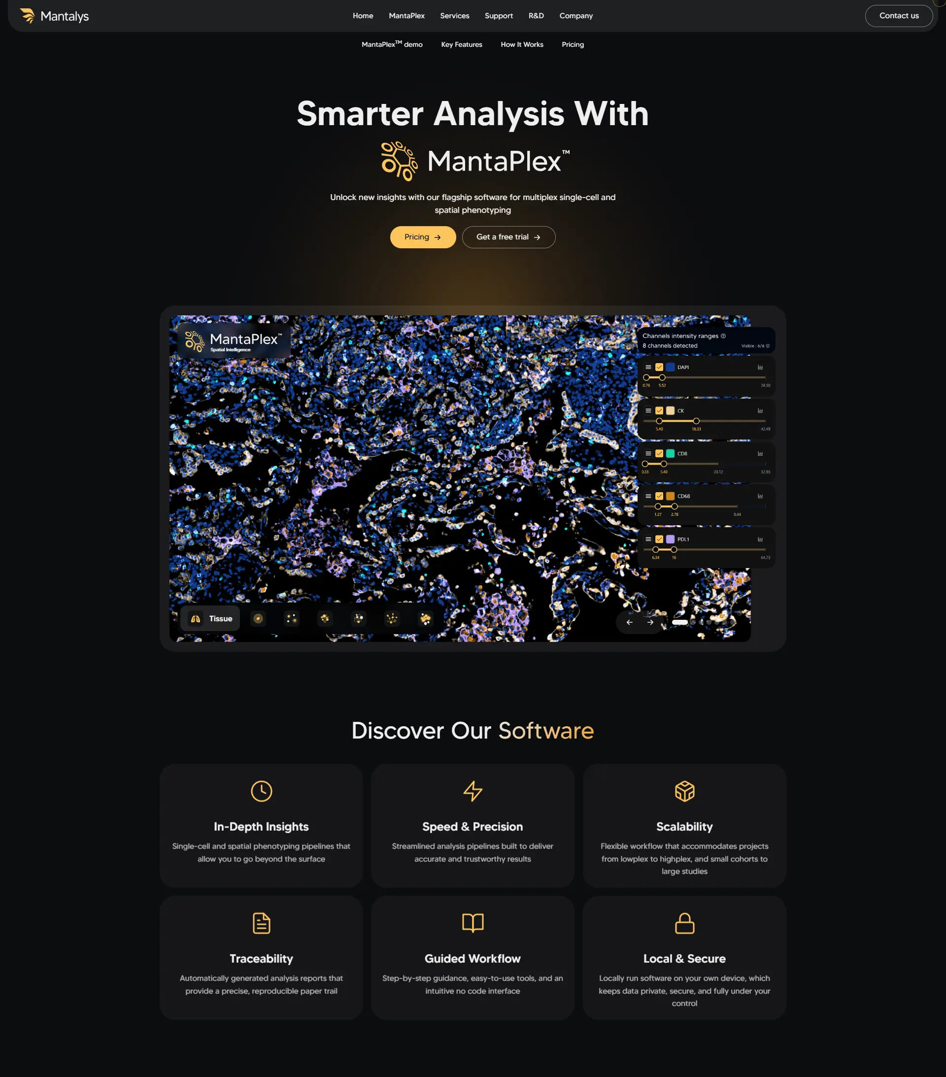 Web design Mantalys