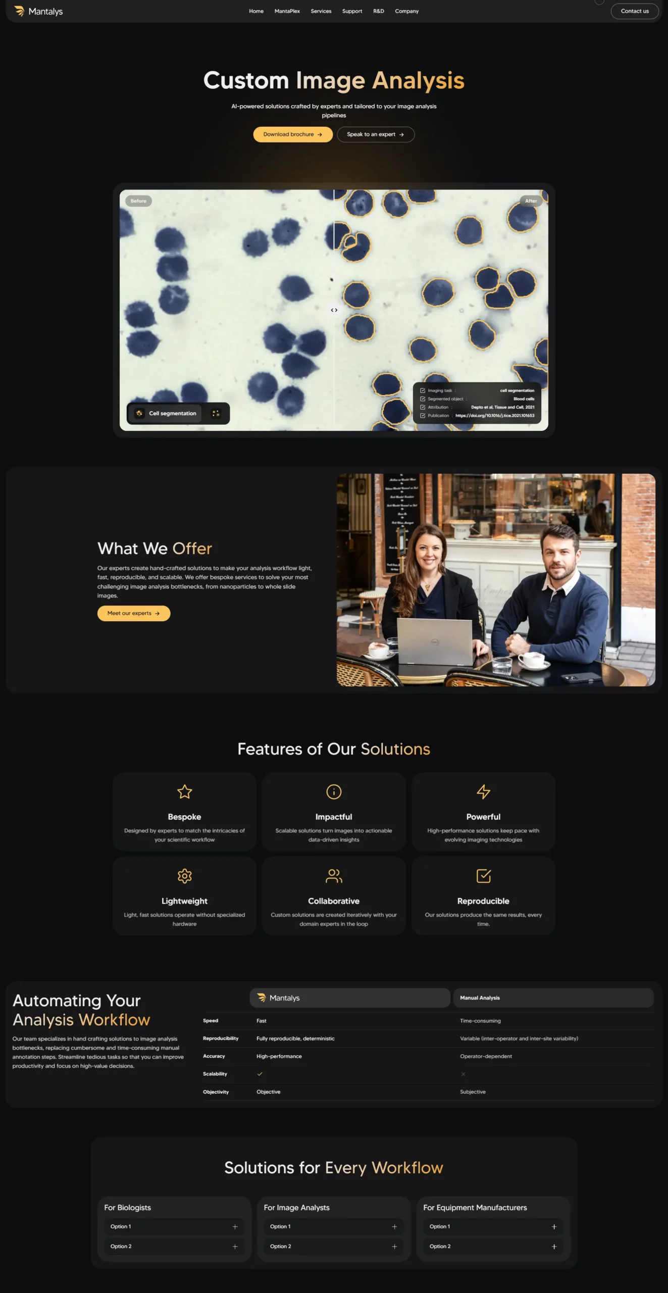 Web design Mantalys